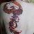 00009 ink4skin