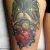 00034 ink4skin