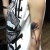 00054 ink4skin