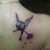 00063 ink4skin