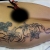 00065 ink4skin