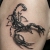 00066 ink4skin
