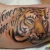 00067 ink4skin