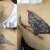 00071 ink4skin