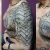 00077 ink4skin