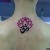 00080 ink4skin