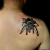 00082 ink4skin