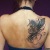 00086 ink4skin