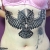 00095 ink4skin