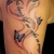 00098 ink4skin