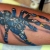 00102 ink4skin