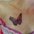 00120 ink4skin