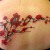 00134 ink4skin