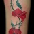 00135 ink4skin
