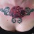 00140 ink4skin