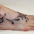 00148 ink4skin