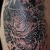 00164 ink4skin