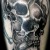 00165 ink4skin
