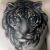 00170 ink4skin