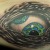 00173 ink4skin