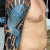 00180 ink4skin