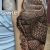 00184 ink4skin