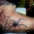 00245 - ink4skin