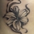00298 - ink4skin